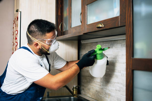 Pest Control for Restaurants in Lakeland, GA