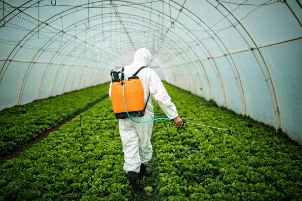 Best Pest Removal Services  in Lakeland, GA