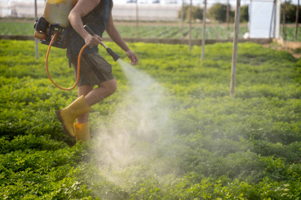 Best Mosquito Control Services  in Lakeland, GA