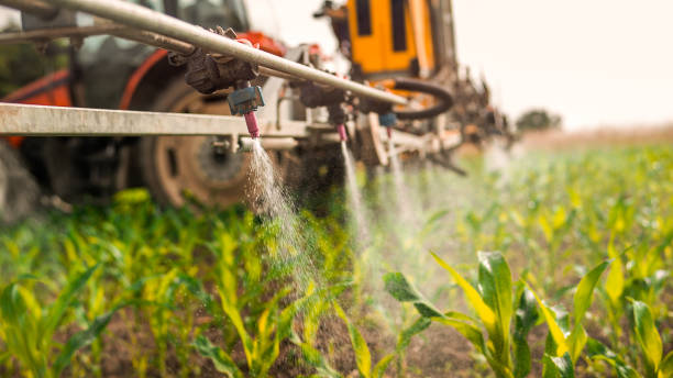 Best Ant Control Services  in Lakeland, GA